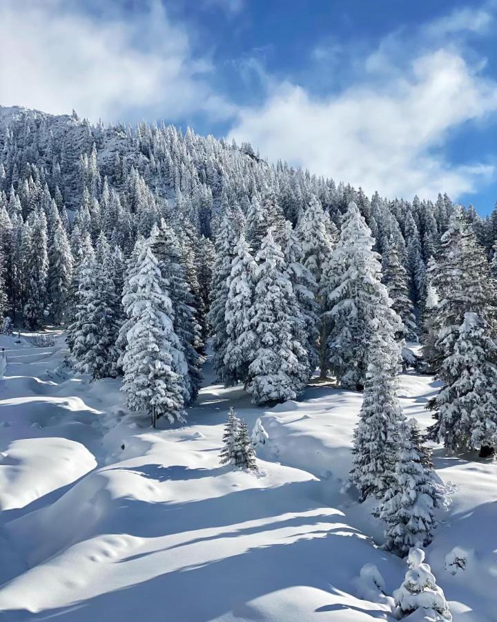 Haus Tirol Ehrwald Hotel Bagian luar foto
